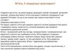 М’ята, її лікувальні властивості