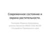 Современное состояние и охрана растительности