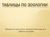 Таблицы по зоологии (часть 3)