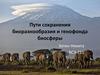 Пути сохранения биоразнообразия и генофонда биосферы