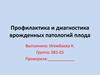 Профилактика и диагностика врожденных патологий плода