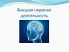 Высшая нервная деятельность