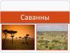 Саванны. Субэкваториальный климатический пояс
