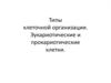 Типы клеточной организации. Эукариотические и прокариотические клетки