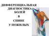 Дифференциальная диагностика болей в спине у пожилых