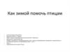 Как зимой помочь птицам. (Окружающий мир, 1 класс)