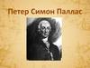 Петер Симон Паллас