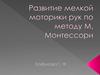 Развитие мелкой моторики рук по методу М. Монтессори