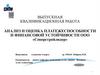 Выпускная квалификационная работа: Анализ и оценка платежеспособности и финансовой устойчивости