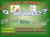 Всё живое из яйца. Исследовательская работа