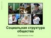 Социальная структура общества, 8 класс