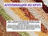 Аппликация из круп. 2 класс