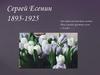Сергей Есенин 1895-1925