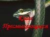 Класс Пресмыкающиеся