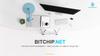 Bitchip cryptocurrency - ông vua đầu tư tiền kỹ thuật số