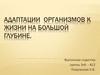 Адаптации организмов к жизни на большой глубине