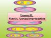 Mitosis. Asexual reproduction
