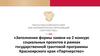 Заполнение формы заявки на 2 конкурс социальных проектов в рамках государственной грантовой программы «Партнерство»