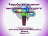 Разработка стратегии выхода нового продукта: Термокружка