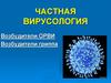 Частная вирусология. Возбудители ОРВИ