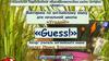 «Guess!»
