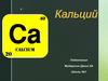 Кальций (Са)