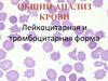 Общий анализ крови. Лейкоцитарная и тромбоцитарная форма