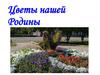 Цветы нашей Родины