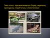 Класс пресмыкающиеся. Отряд черепахи. Отряд крокодилы. Отряд клювоголовые. Отряд чешуйчатые