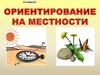 Ориентирование на местности