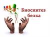 Биосинтез белка. Биосинтез углеводов