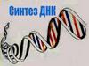 Синтез ДНК