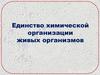 Единство химической организации живых организмов