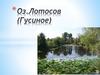 Озеро Лотосов (Гусиное)
