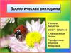 Зоологическая викторина
