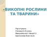Викопні рослини та тварини
