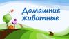 Домашние животные