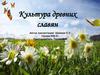 Культура древних славян