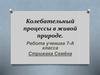 Колебательный процессы в живой природе