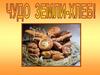 Чудо Земли - хлеб