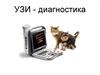 УЗИ - диагностика