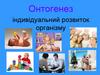 Онтогенез. Індивідуальний розвиток організму