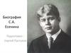 Жизнь и творчество С.А. Есенина