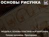 Основы рисунка. Голова человека. Пропорции
