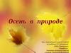 Осень в природе. Урок окружающего мира в 3 классе