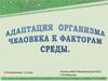 Адаптация организма человека к факторам окружающей среды