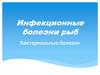 Инфекционные болезни рыб. Бактериальные болезни