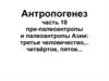 Антропогенез. Пре-палеоантропы и палеоантропы Азии: третье человечество,.. Четвёртое, пятое...(часть 18)