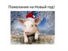 Пожелания на Новый год