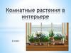 Комнатные растения в интерьере
